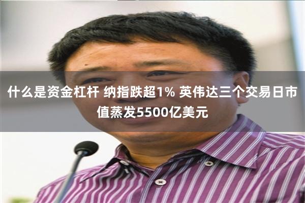 什么是资金杠杆 纳指跌超1% 英伟达三个交易日市值蒸发5500亿美元