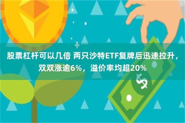 股票杠杆可以几倍 两只沙特ETF复牌后迅速拉升，双双涨逾6%，溢价率均超20%