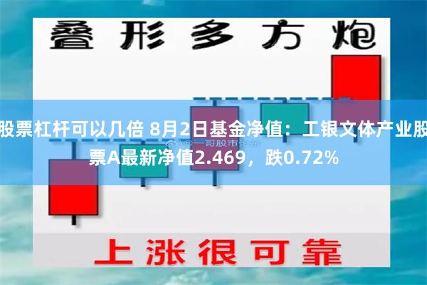 股票杠杆可以几倍 8月2日基金净值：工银文体产业股票A最新净值2.469，跌0.72%