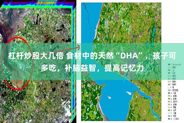 杠杆炒股大几倍 食材中的天然“DHA”，孩子可多吃，补脑益智，提高记忆力