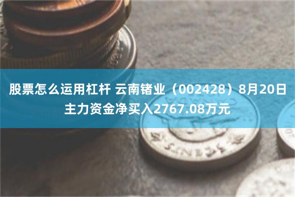 股票怎么运用杠杆 云南锗业（002428）8月20日主力资金净买入2767.08万元