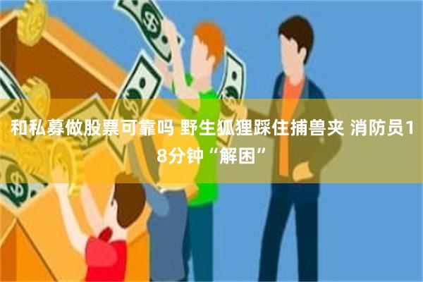 和私募做股票可靠吗 野生狐狸踩住捕兽夹 消防员18分钟“解困”