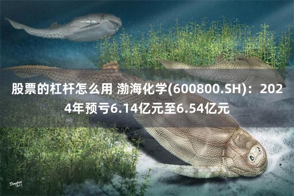 股票的杠杆怎么用 渤海化学(600800.SH)：2024年预亏6.14亿元至6.54亿元