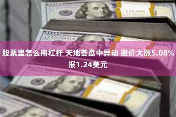 股票里怎么用杠杆 天地荟盘中异动 股价大涨5.08%报1.24美元