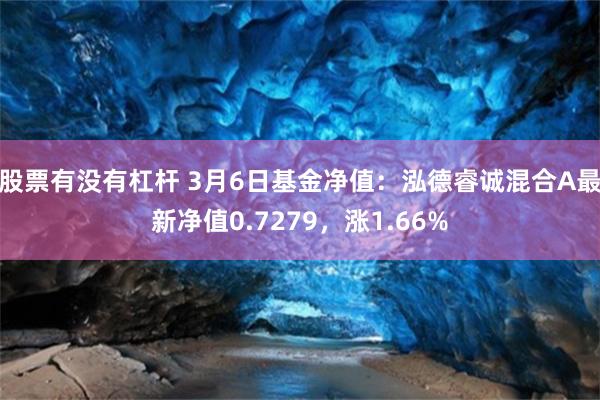 股票有没有杠杆 3月6日基金净值：泓德睿诚混合A最新净值0.7279，涨1.66%