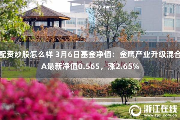 配资炒股怎么样 3月6日基金净值：金鹰产业升级混合A最新净值0.565，涨2.65%